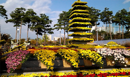 꽃 축제 기획 연출