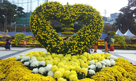 꽃 축제 기획 연출