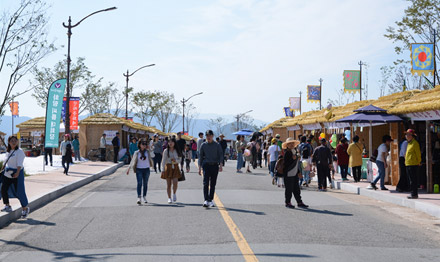 체험행사