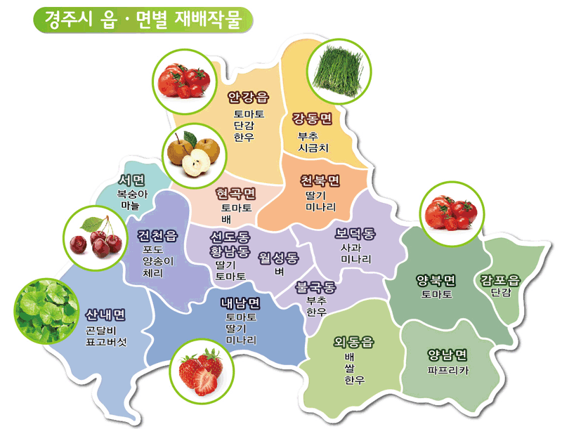 경주시 읍,면별 재배작물