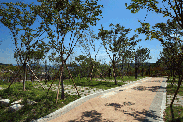 오토캠핑장(주차) 전경