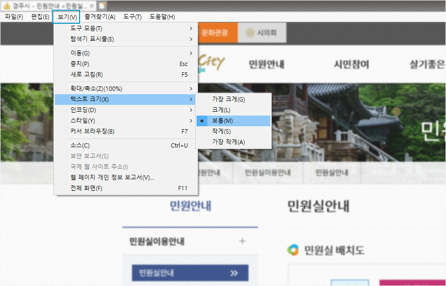 인터넷 익스플로러 브라우저의 텍스트 크기 설정 화면