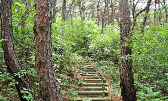 오봉산 등산코스