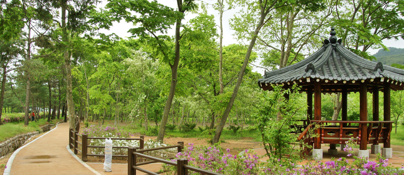 Gyeongsangbuk-do Forestry Environment Research Center 산책로