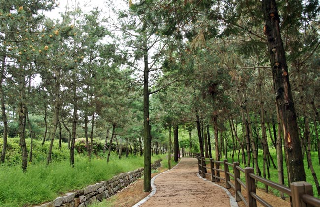 경상북도산림환경연구원 산책로