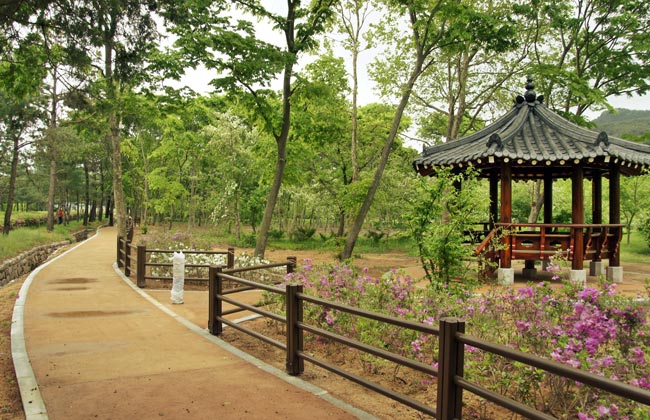 경상북도산림환경연구원 산책로 오른쪽에 정자가 보인다.