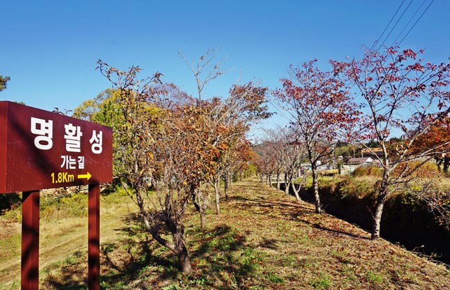 명활성 가는길 1.8km 안내표지판 앞