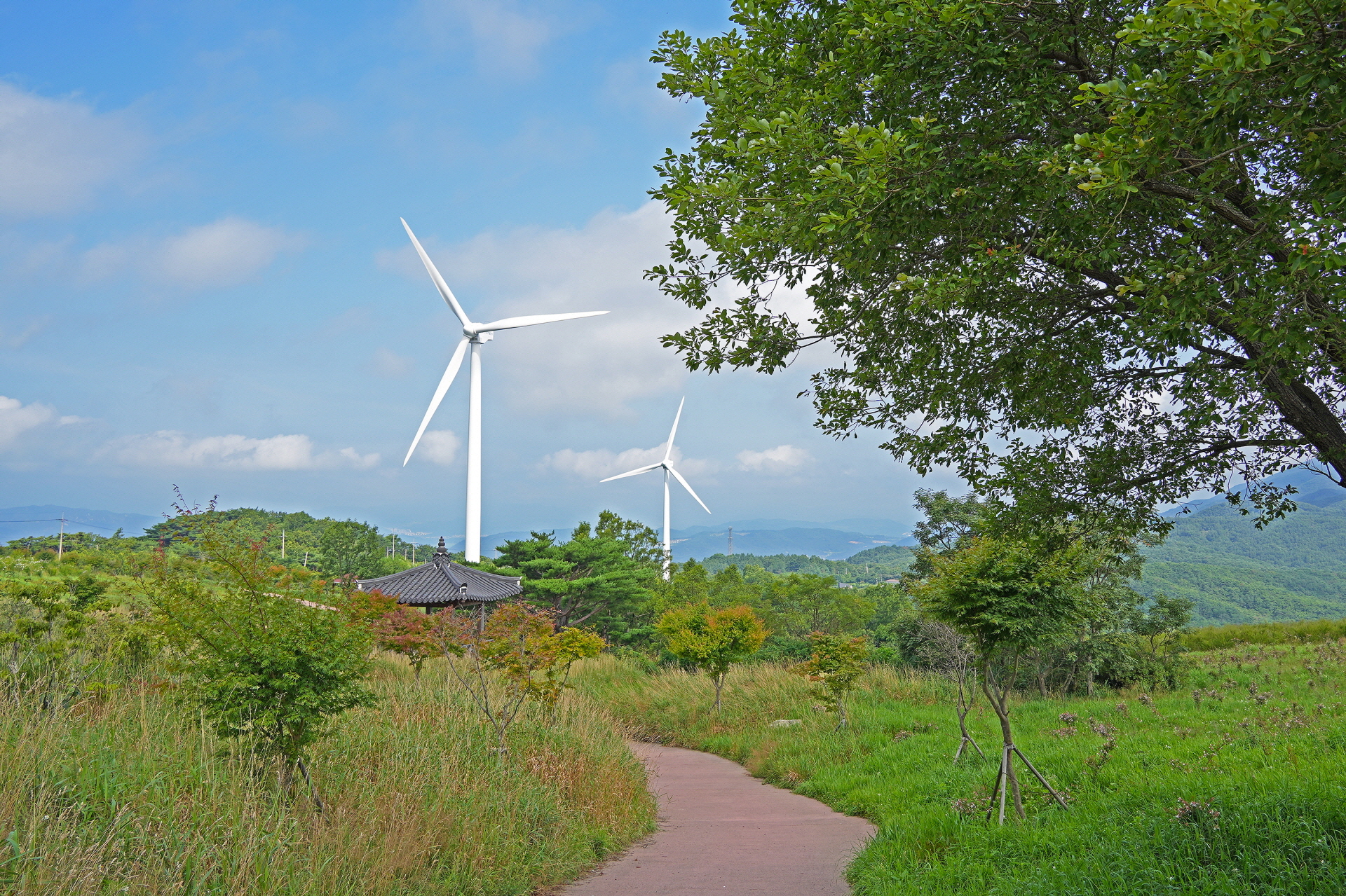 토함산 수목경관숲