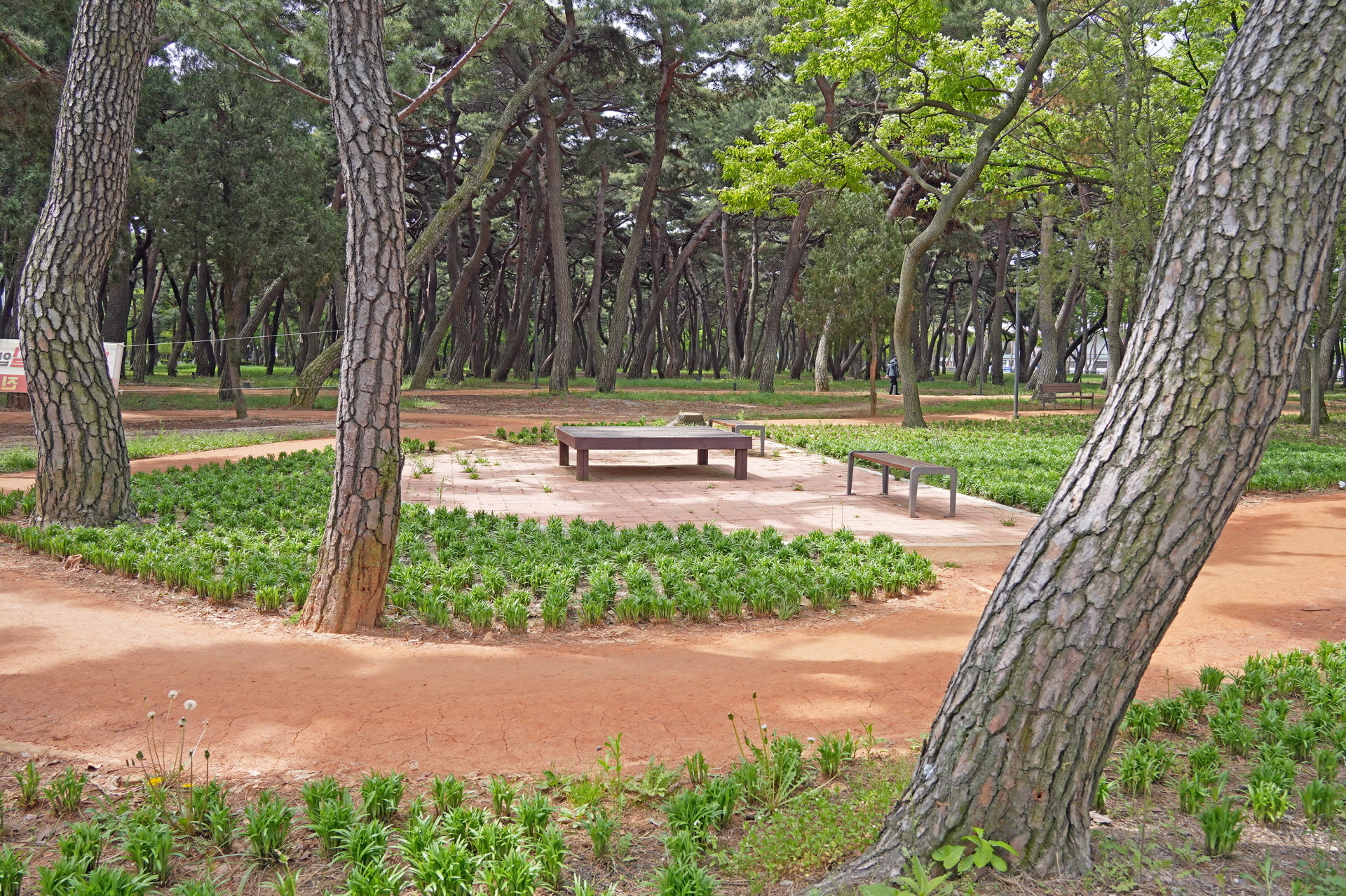 황성공원 맨발산책길