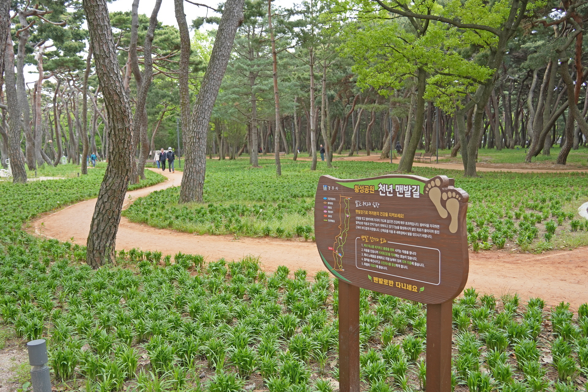 황성공원 맨발산책길