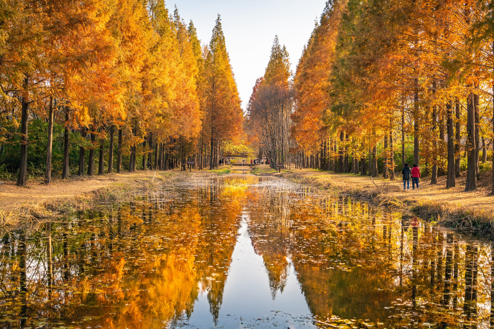경북천년숲정원[사진제공(차봉규)-경북나드리] 