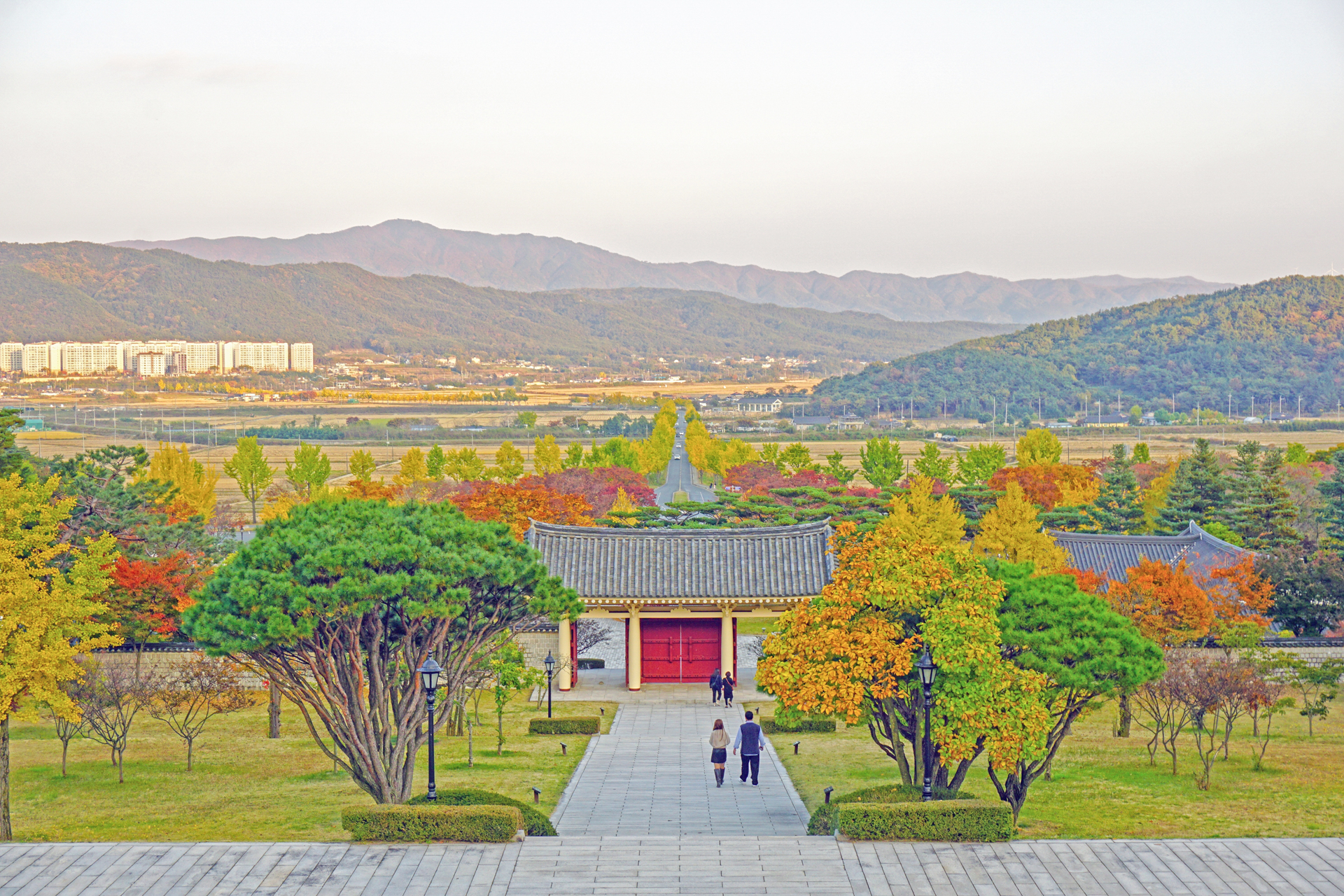 통일전 은행나무길