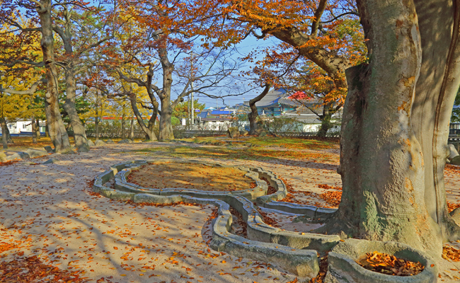 포석정 단풍