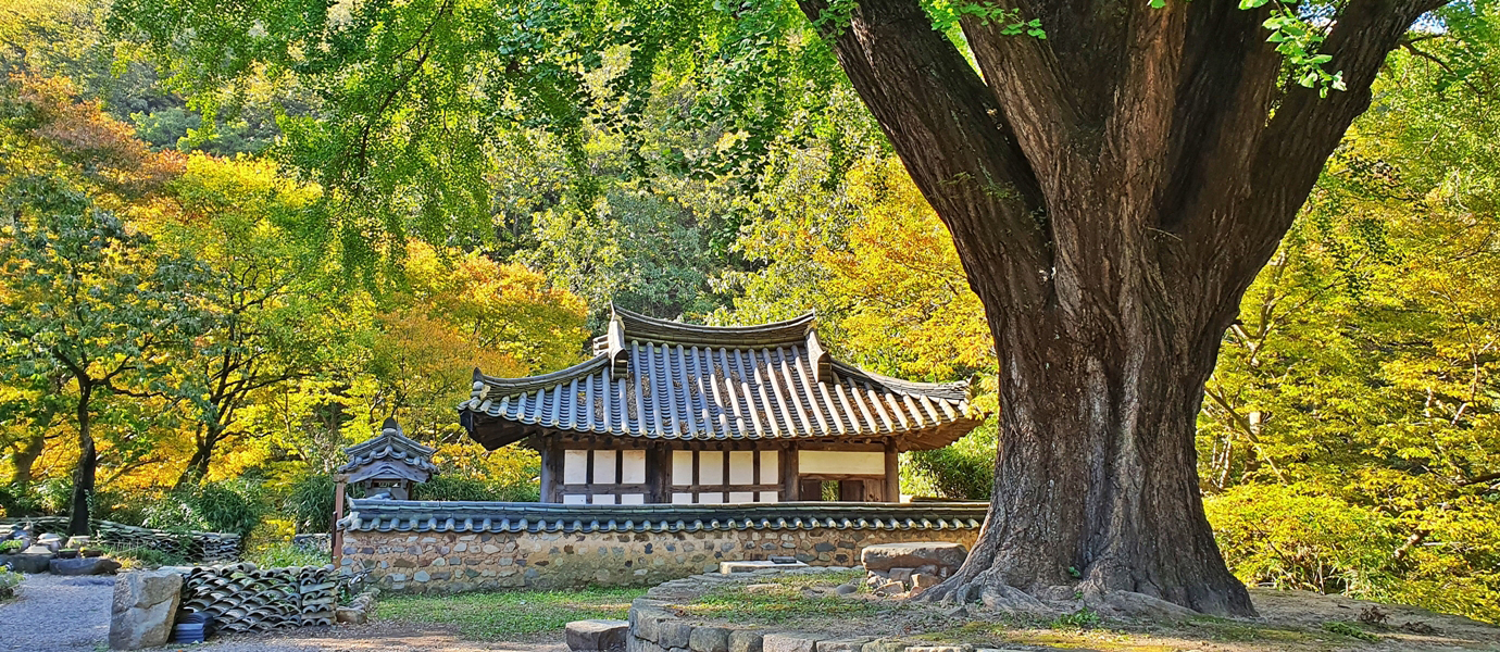 운곡서원의 가을