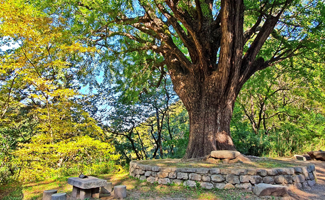 운곡서원의 가을