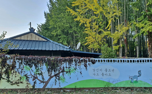 은행나무 숲이 있는 아름다운 도리마을