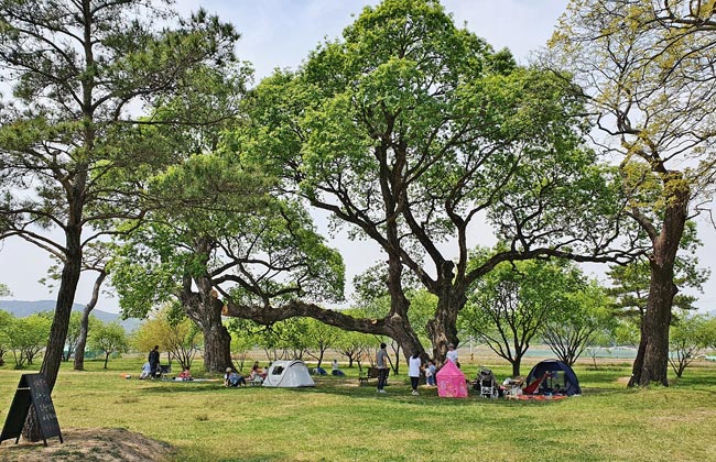 사람들이 돗자리와 그늘막 텐트를 치고 쉬는 모습