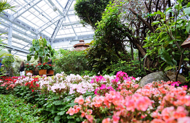 경주동궁원 식물원 내부사진 _ 알록달록한 꽃들이 피어있다.