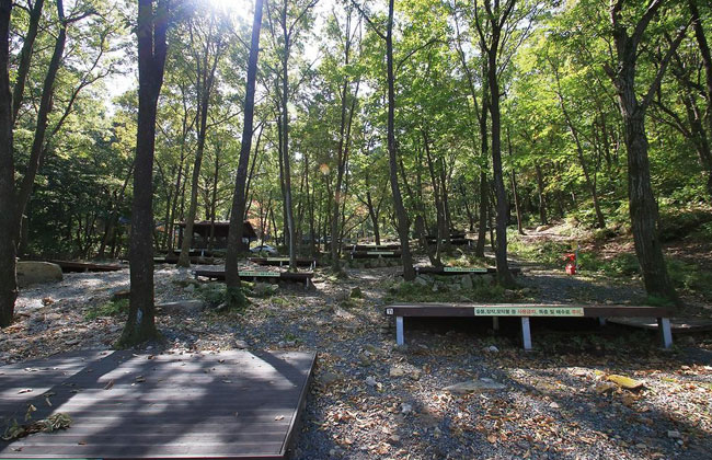 우거진 숲 속의 토함산 캠핑장
