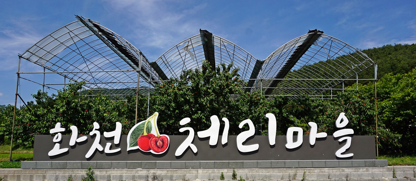 피자를 만드는 손과 오른쪽에는 토핑 재료가 있다.