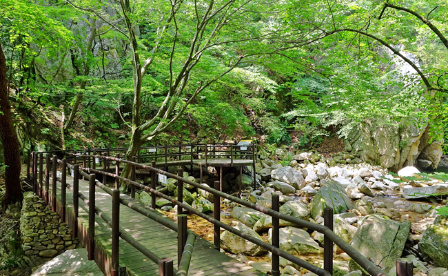 신문왕 호국행차길의 하이라이트 ‘용연폭포’
