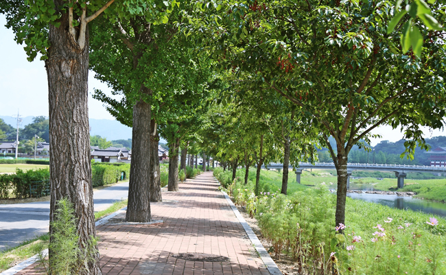 남천 둑길 산책로