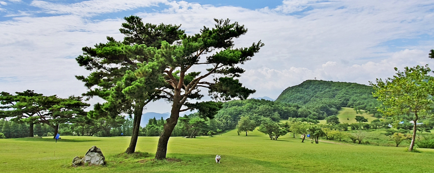 경주 단석산 화랑의 언덕
