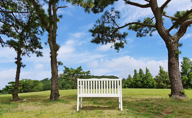 화랑의 언덕 포토스팟