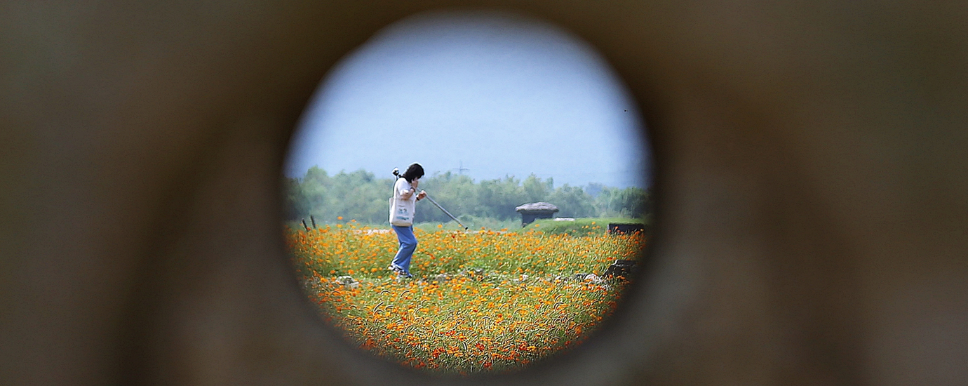 구황동 당간지주를 통해서 본 분황사 황화코스모스단지