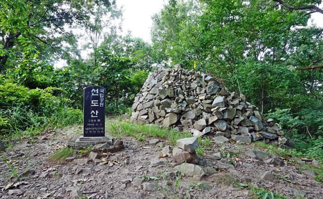 선도산 정상 표지석