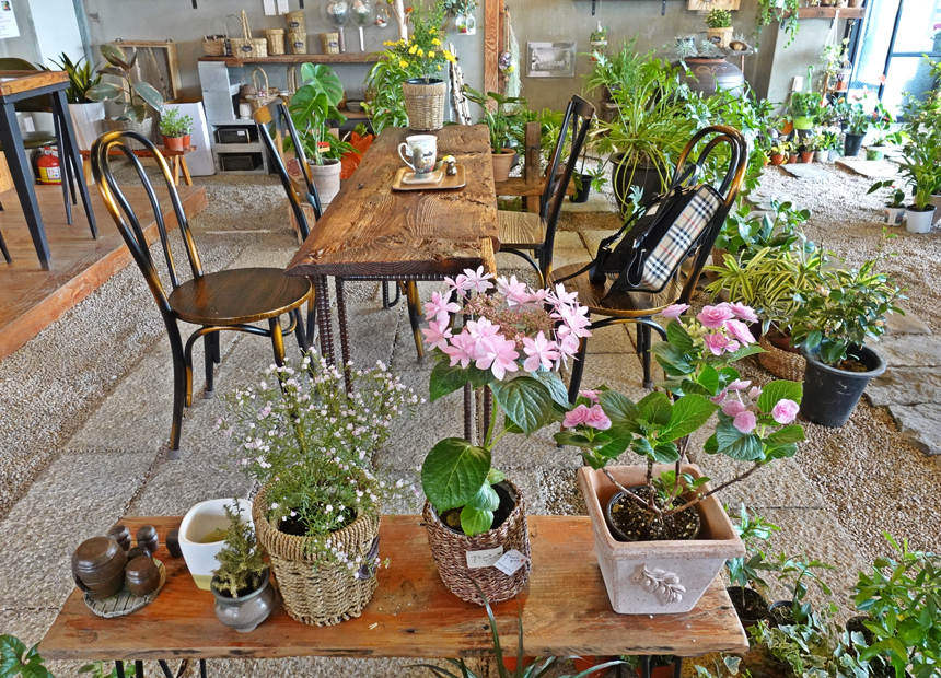 경주 식물 가득한 카페 ‘멍때리는 정원’ 내부 공간