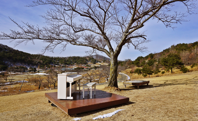 경주 화랑의 언덕 겨울 풍경