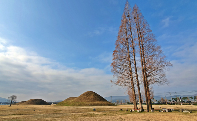 황남리 고분군의 오전