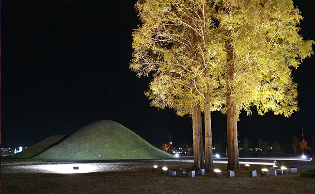 황남리 고분군의 야경