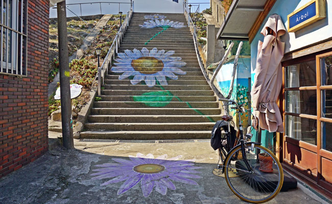 감포항 적산가옥과 해국길 모습 2