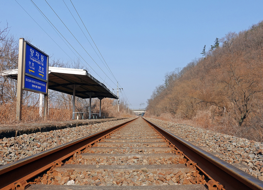 양자동역