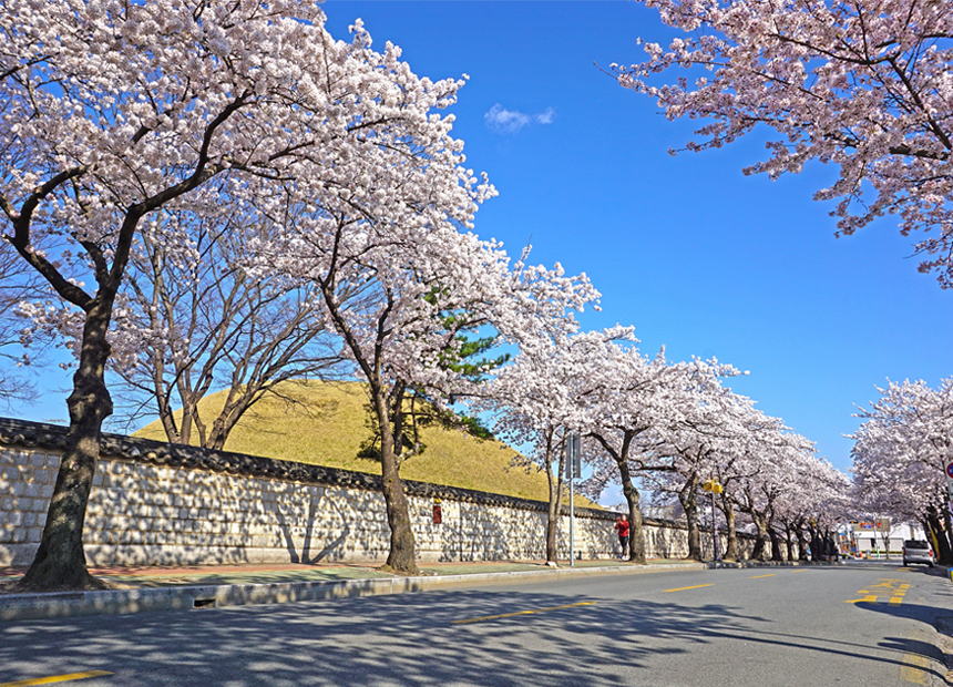 대릉원 돌담길