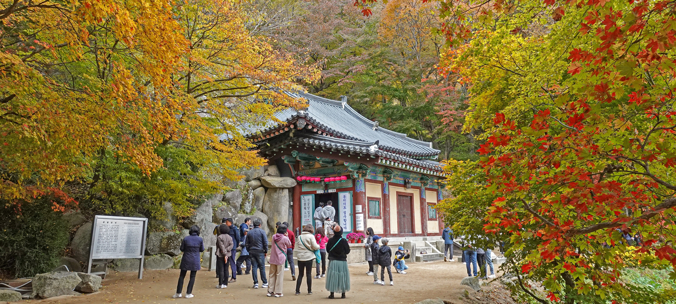글보기)11月庆州，记忆储存库| Golden City Gyeongju