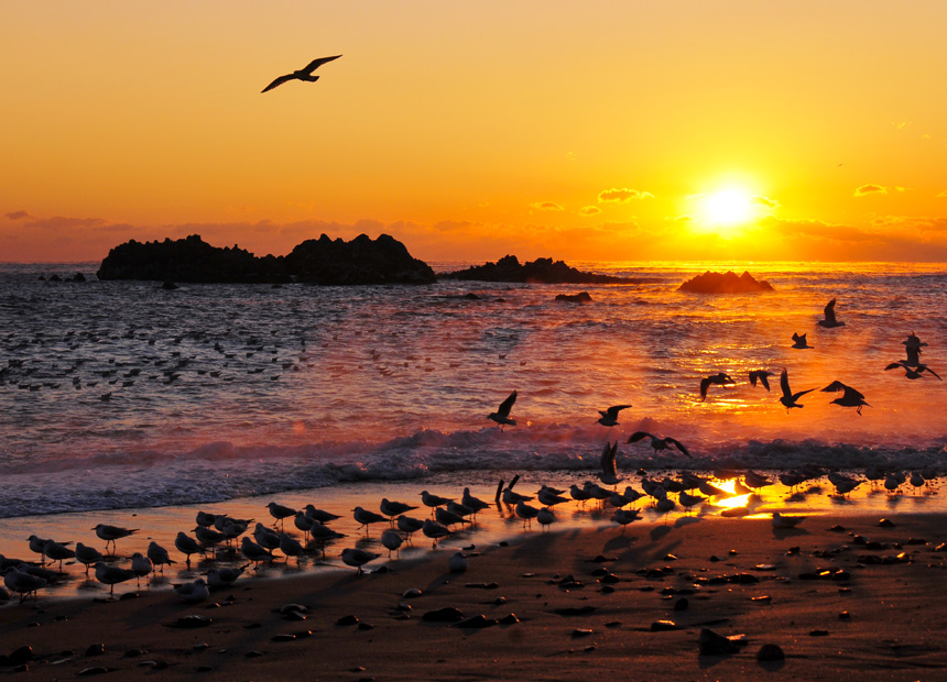 경주시 사진공모전 수상작_문무대왕 일출(김민지)