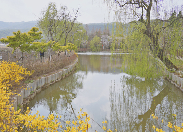 경북천년숲정원 버들못정원