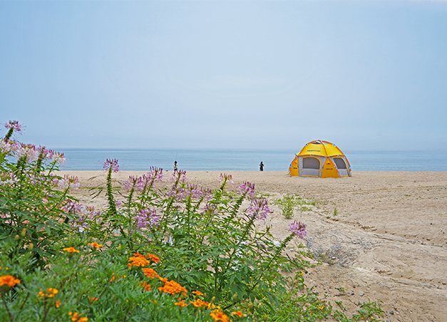 수렴해변