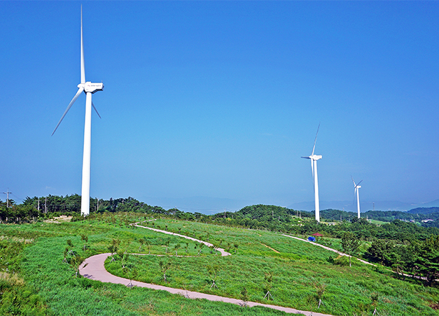 토함산 수목 경관 숲