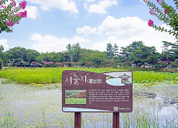 서출지의 여름