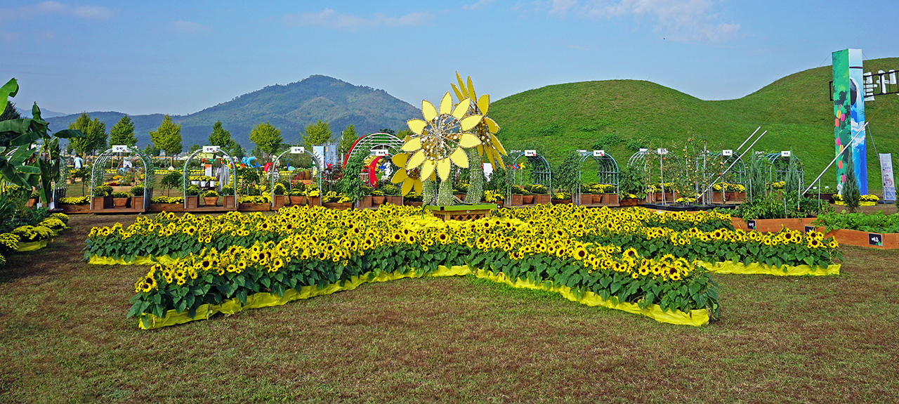 지난 축제 장면