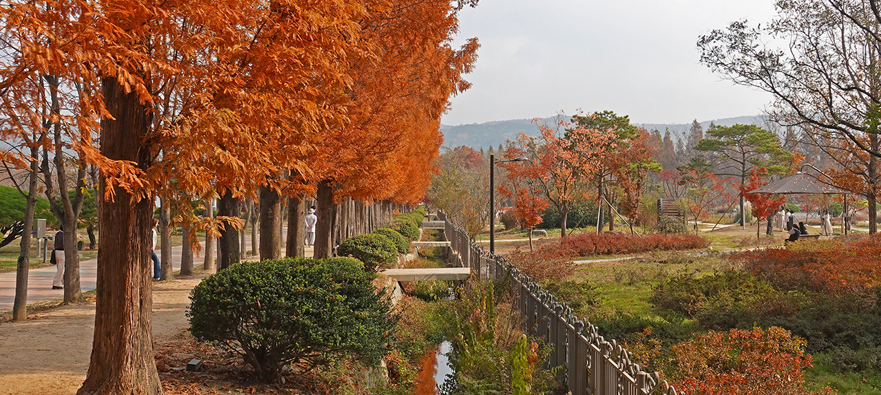 경북천년숲정원(촬영일 2022.11.11)