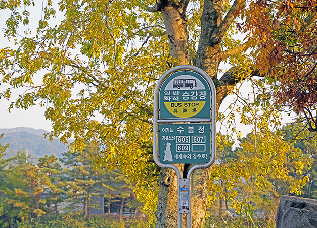 경주 원성왕릉