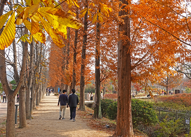 경북천년숲정원(촬영일22.11.11)
