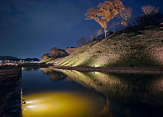 경주 월성 야경