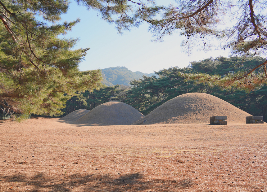 배동 삼릉