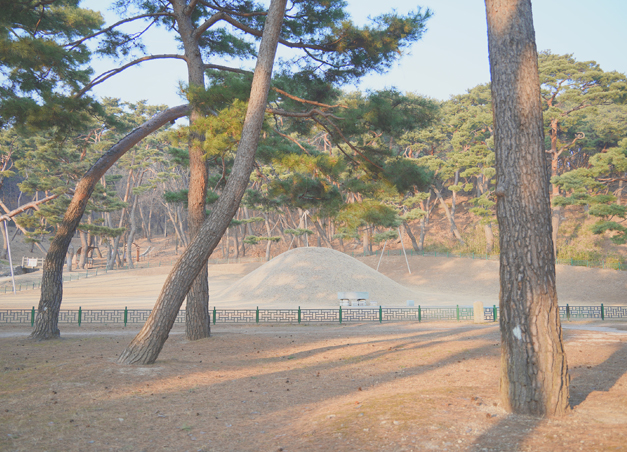 탈해왕릉
